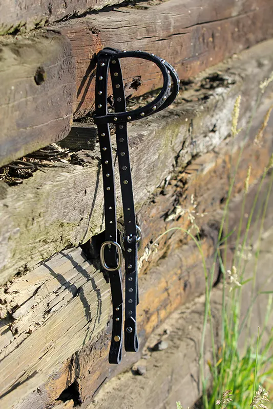 Leather custom headstall sample 1