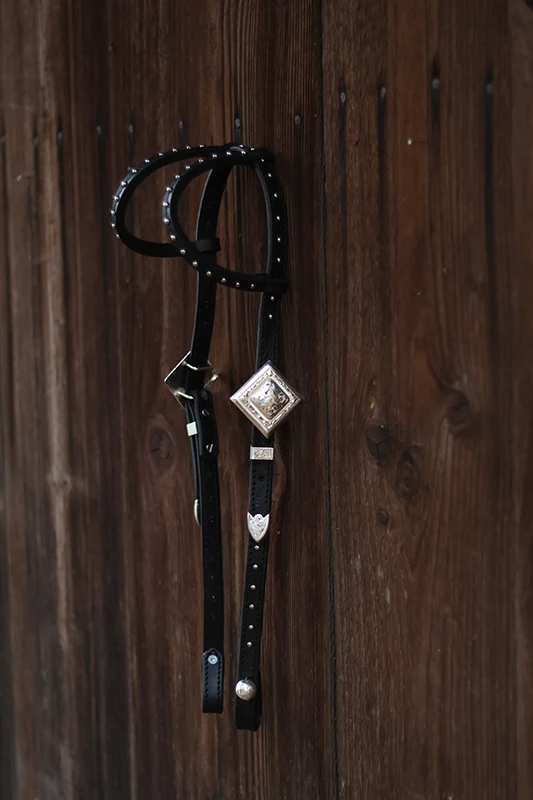 Show silver headstall sample 3