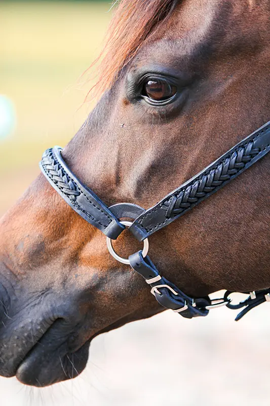 Knitted custom halter sample 2