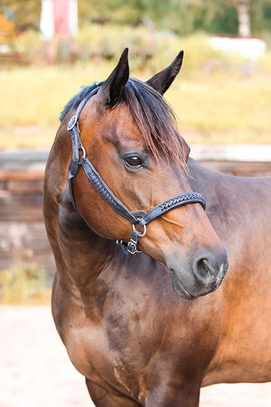 Knitted custom halter sample 1