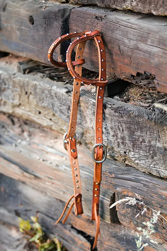 Leather custom headstall sample 2