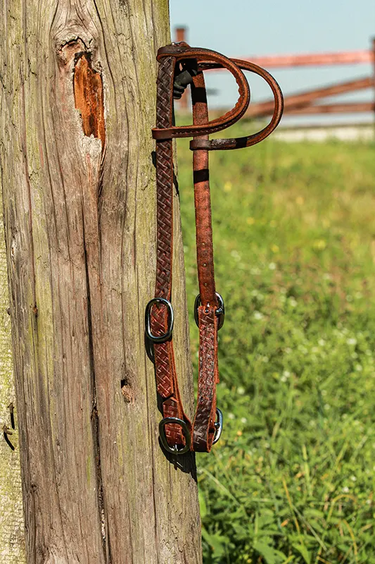 Leather custom headstall sample 3