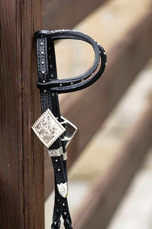 Show silver headstall sample 1