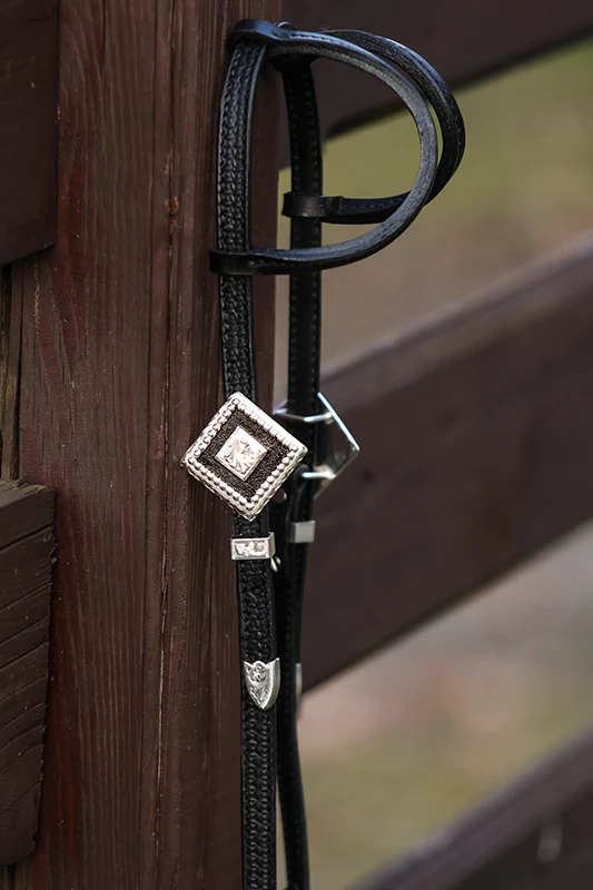 Show silver headstall sample 2