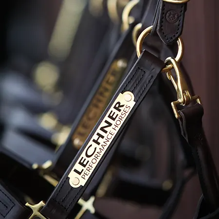 Category of barn horse collection