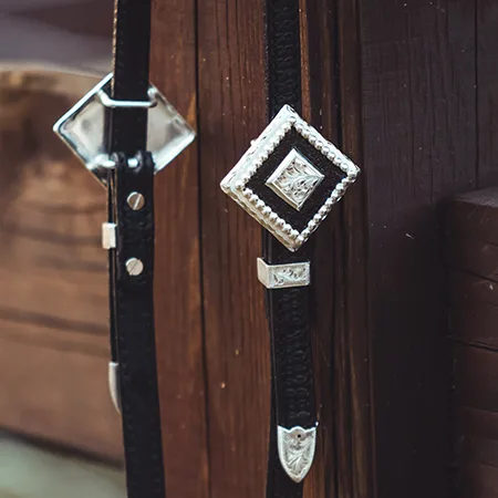 Category of show horse collection