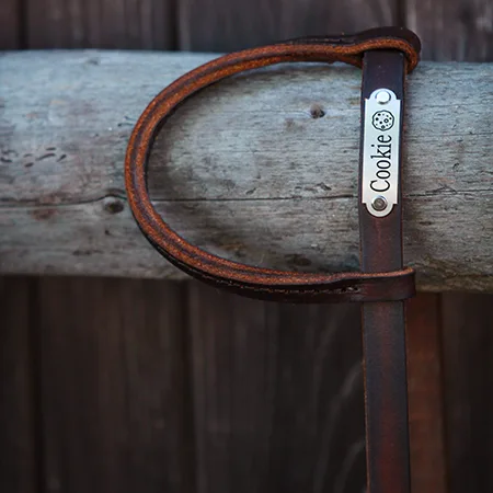 Category of training horse collection