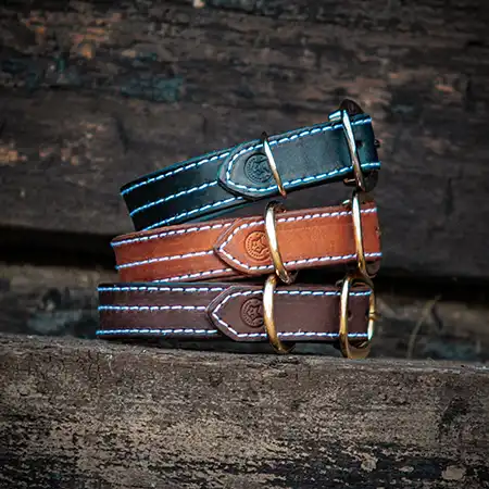 Category of walkies goods for dogs