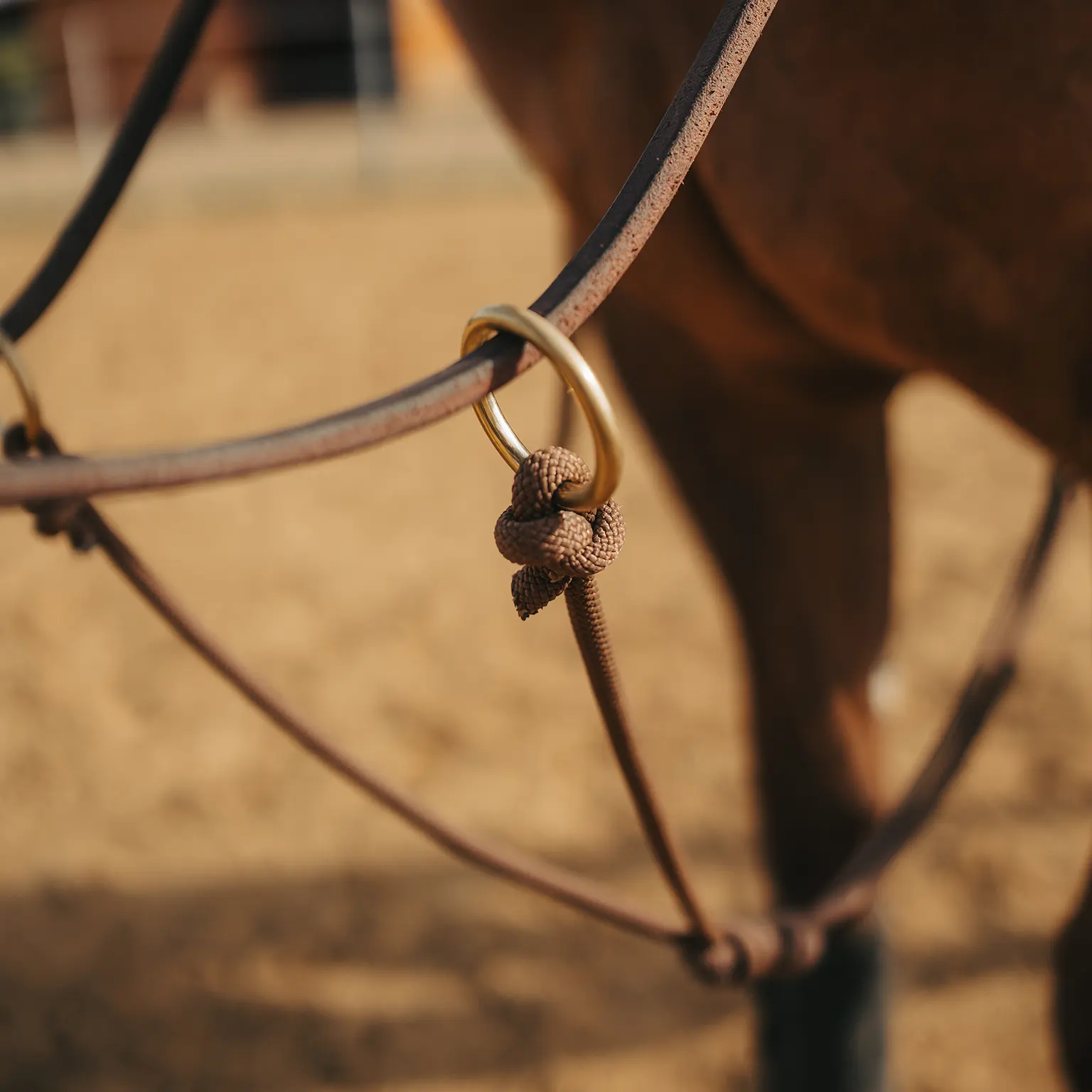 Rope Martingale