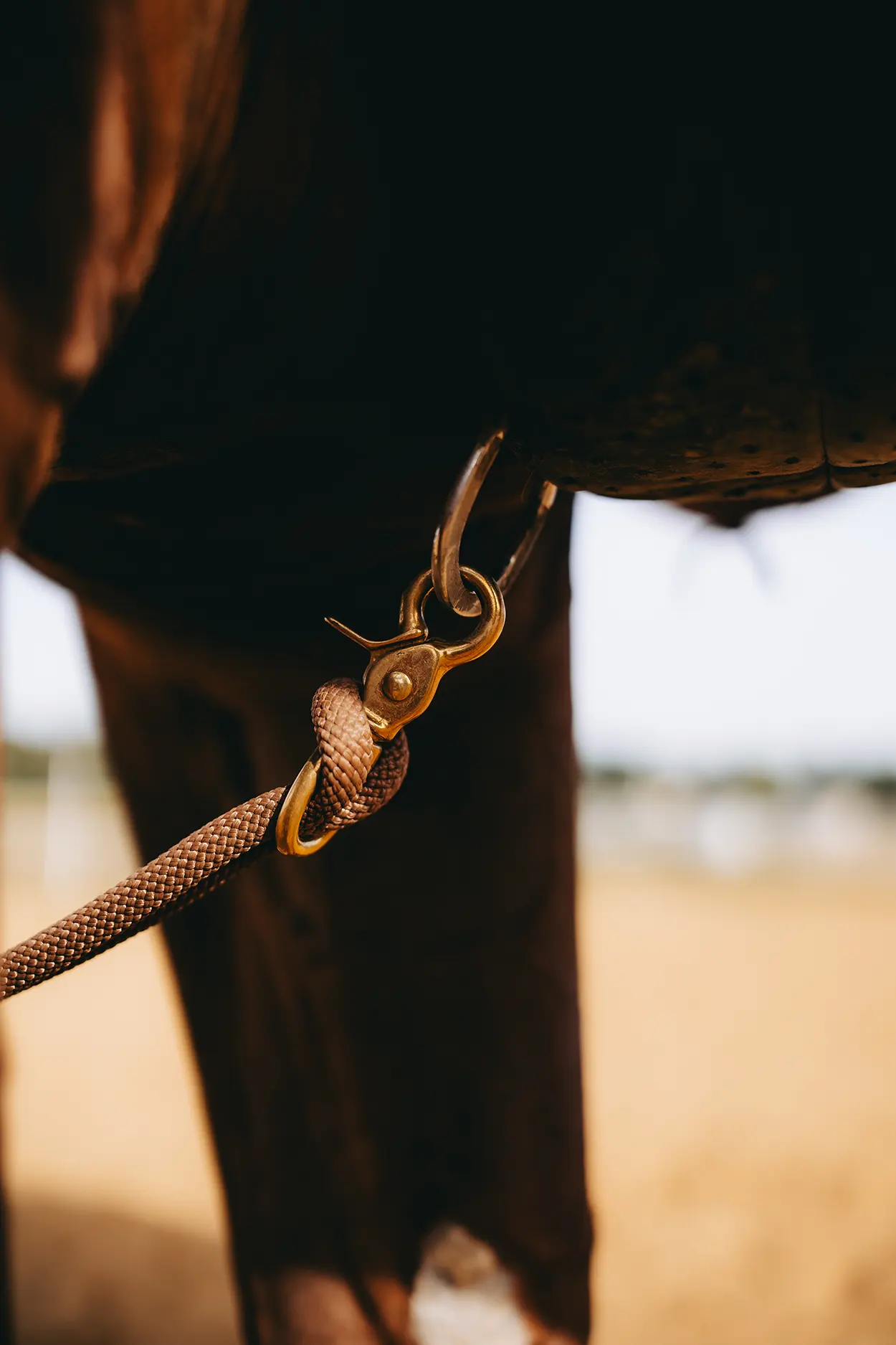 Rope Martingale - Image 2