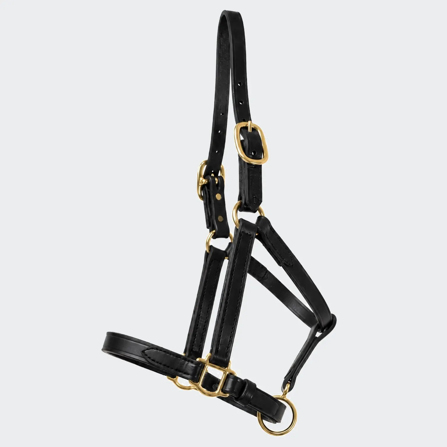 Young horse halter - Black