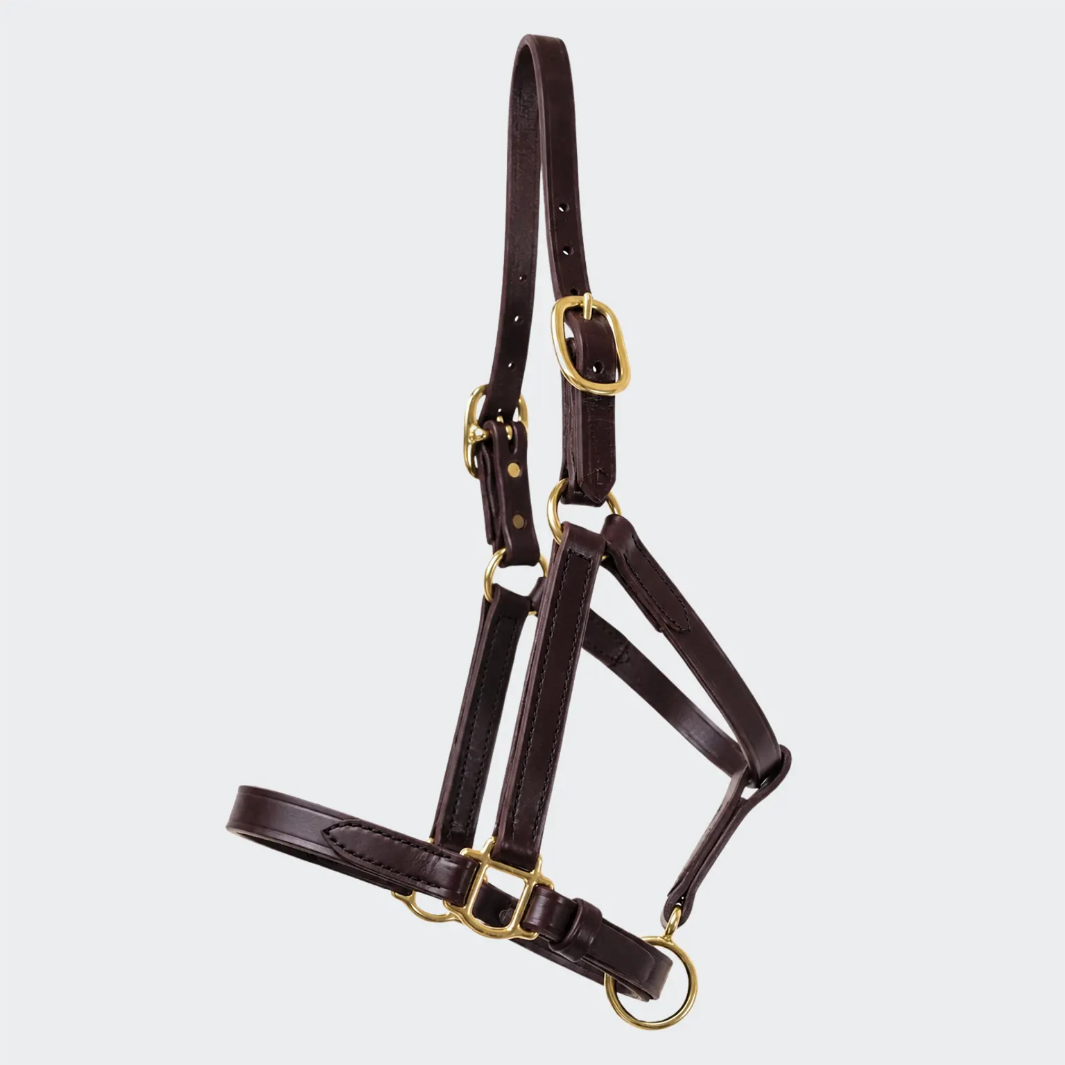 Young horse halter - Brown